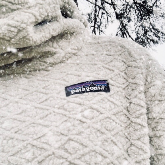Patagonia Sweaters - p a t a g o n i a || diamond capra hoodie